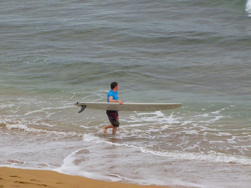 surfer joshy