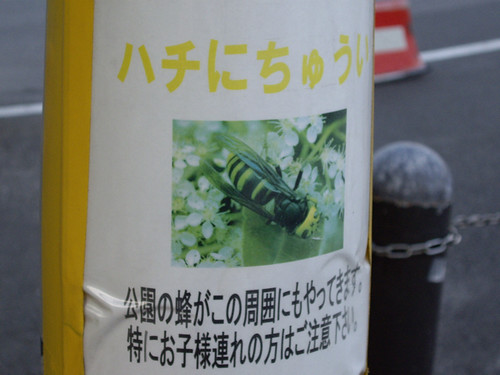 蜂に注意！