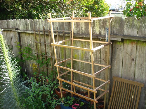 i built this tomato cage