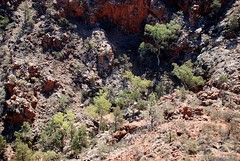 creek and waterfall below the eastern flank or mount gee - link to my Arkaroola Sanctuary - would U mine it? set on flickr 