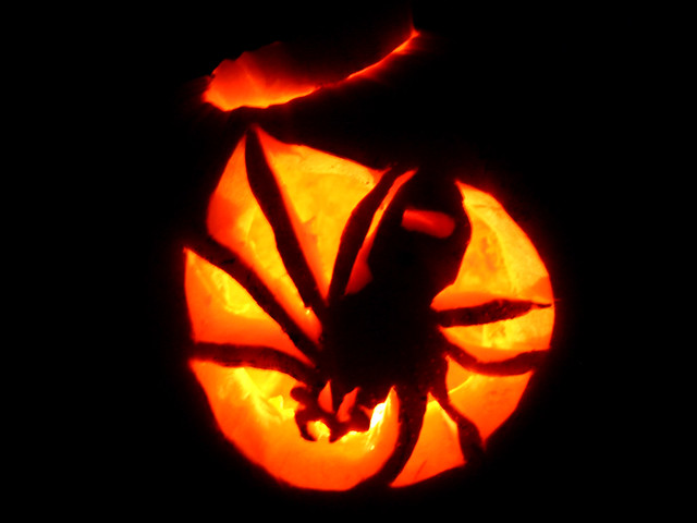 Hallowe'en pumpkin spider