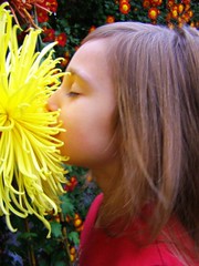 Smith College 2007 Fall Chrysanthemum Show (Photo credit: Sienna Wildfield)