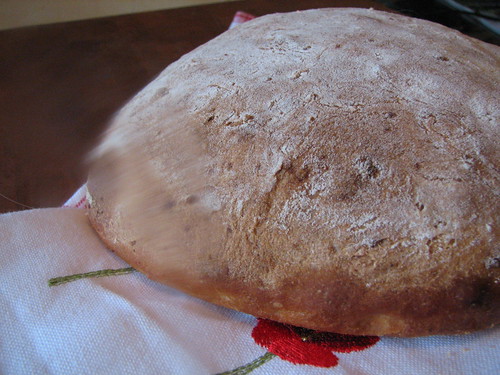 Potato bread - Boule