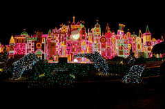 Disneyland December II (39)