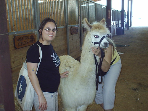 Me and an alpaca