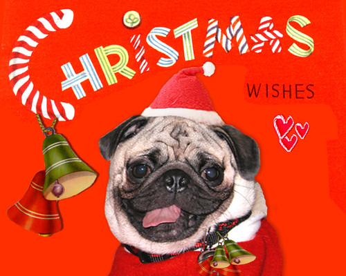 *SMILING PUG* VINTAGE MERRY CHRISTMAS &amp; HAPPY HOLIDAYS CARD