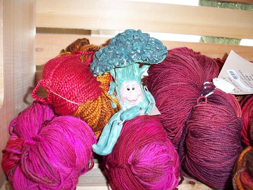 Broc Visits A Yarn Shop!
