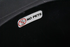 Warning! No Pets!