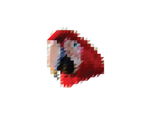 The Sliced Pixel Project Parrot