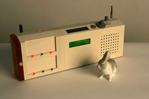 Rabbit infront of the radio