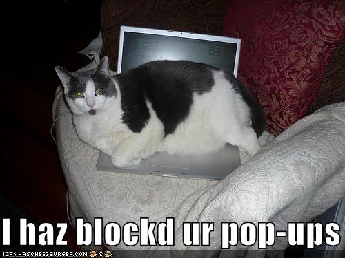 I haz blockd ur pop-ups