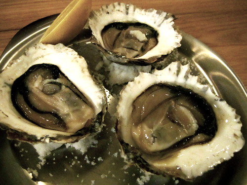 Angasi oysters