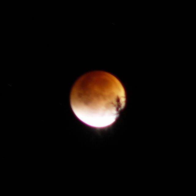 2. Lunar eclipse, 2007-08-28 09:46:34 UT (photographer: Michael McNeil)
