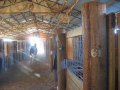 horse barn1