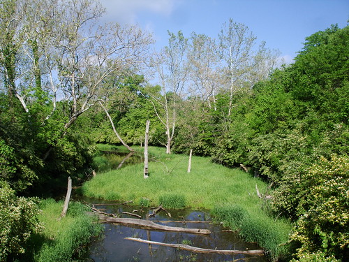 Creek on Lilly Road