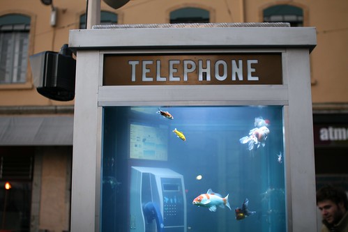 phone booth aquarium