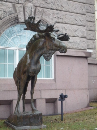 Musée Zoologique d'Helsinki (Finlande)