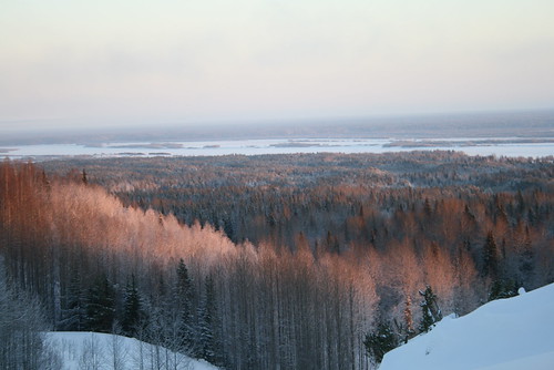 Winter forest. Northern Russia. ©  Pavel 