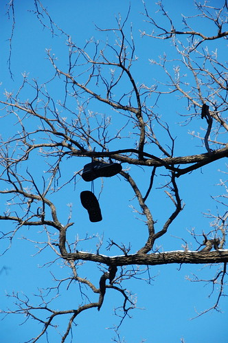 Shoes on the tree