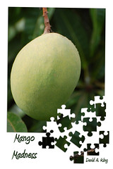mango madness by daKing pics