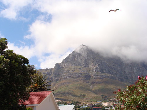 back of table mountain