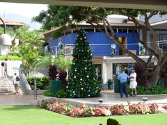 a commercial christmas in hawaii #4