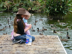 20080322aj Feeding the ducks