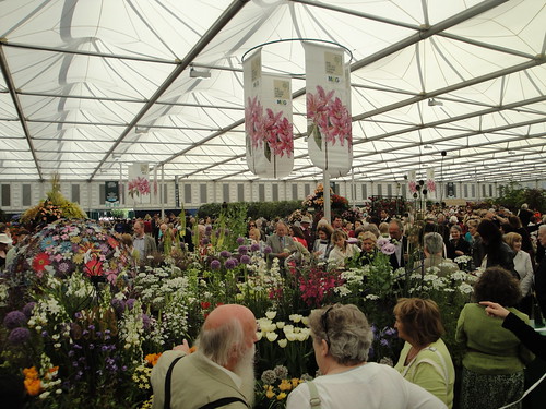 Main Marquee crowds