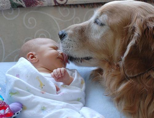 Cute+dog+pictures+for+kids