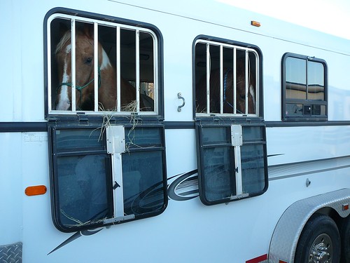 Drop down windows in a horse trailer