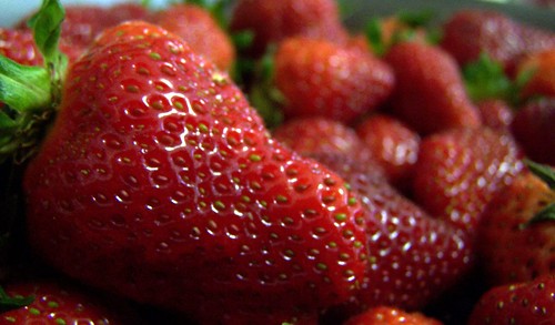 Pungo strawberries