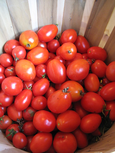 tomatoes in november!