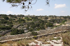 Ghar Dalam Landscape, Malta