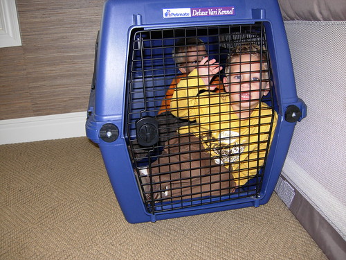 kids in a crate 3