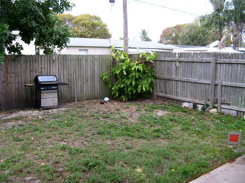 Backyard - Front Left Corner