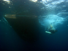 Back Roll entry from the dive boat