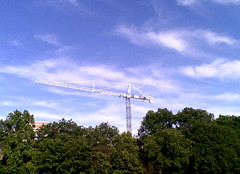 Trees, Crane, Sky