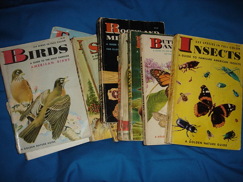 my vintage 1955 schoolbooks