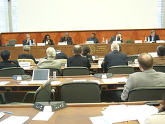 Panel: Opening of conference