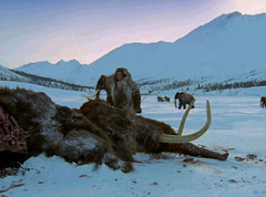 30 man returns to mammoths grave