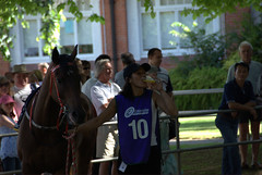 Ellerslie horse race course