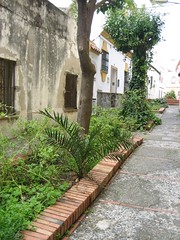Calle Perú