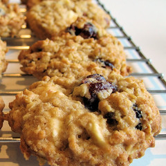 Cranberry  and white chocolate cookie 2388 b