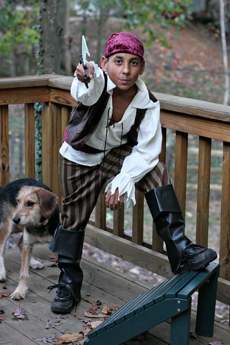 Dashing pirate and vicious pirate dog