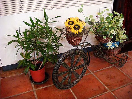 bike flower