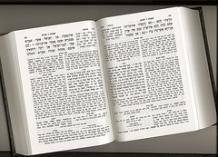 tradtional jewish commentary bible