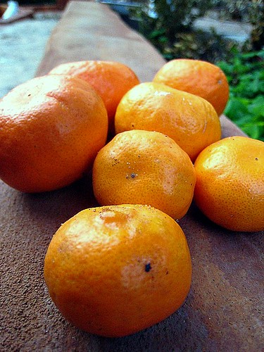 Tangerines (iii)
