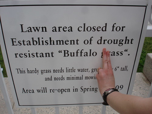 Lawn area closed for Establishment of drought resistant 