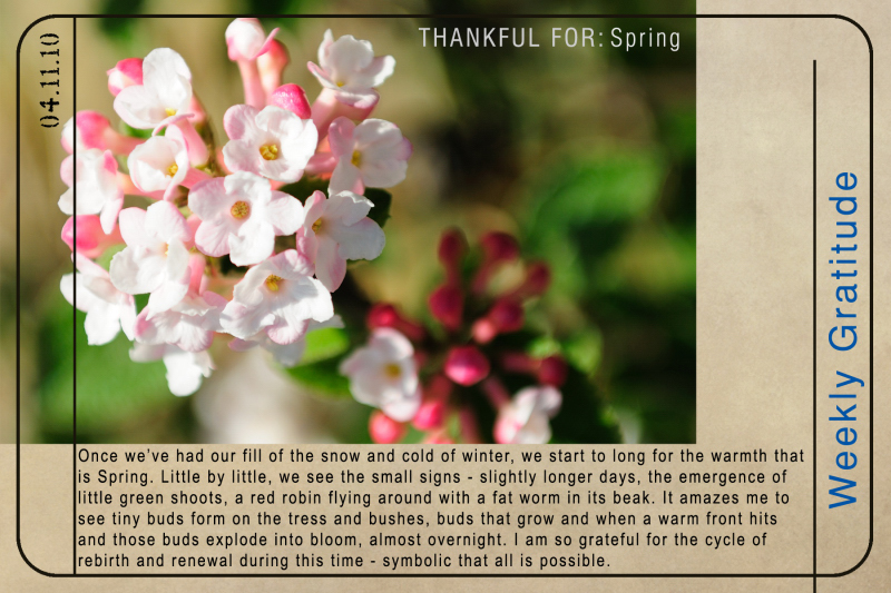 Weekly Gratitude - Spring