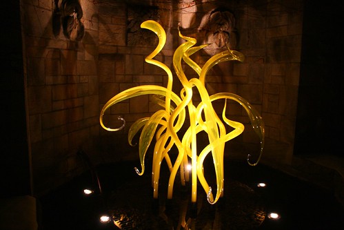 Chihuly Nights at Phipps Conservatory